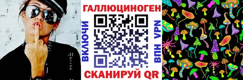 Псилоцибиновые грибы MAGIC MUSHROOMS  где купить наркоту  Киселёвск 